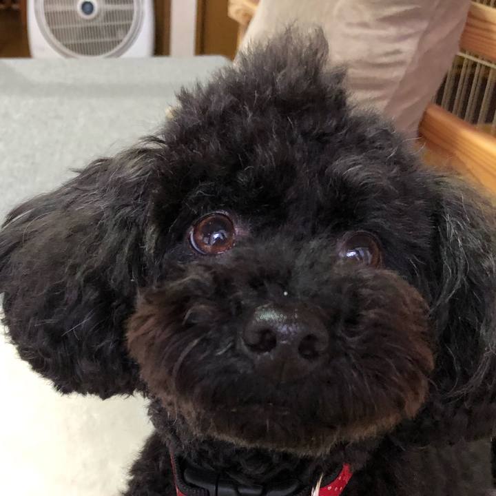 266d8595 5458 4d4a bb1a 7ae08ee8947c 1587451598506