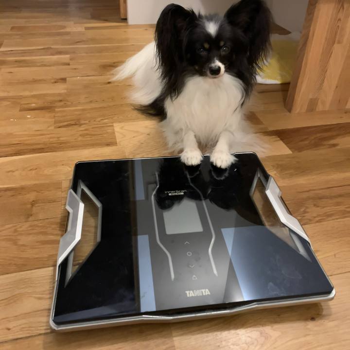 266dadea 61af 4c75 9722 3f2b27a5939d 1541020631541