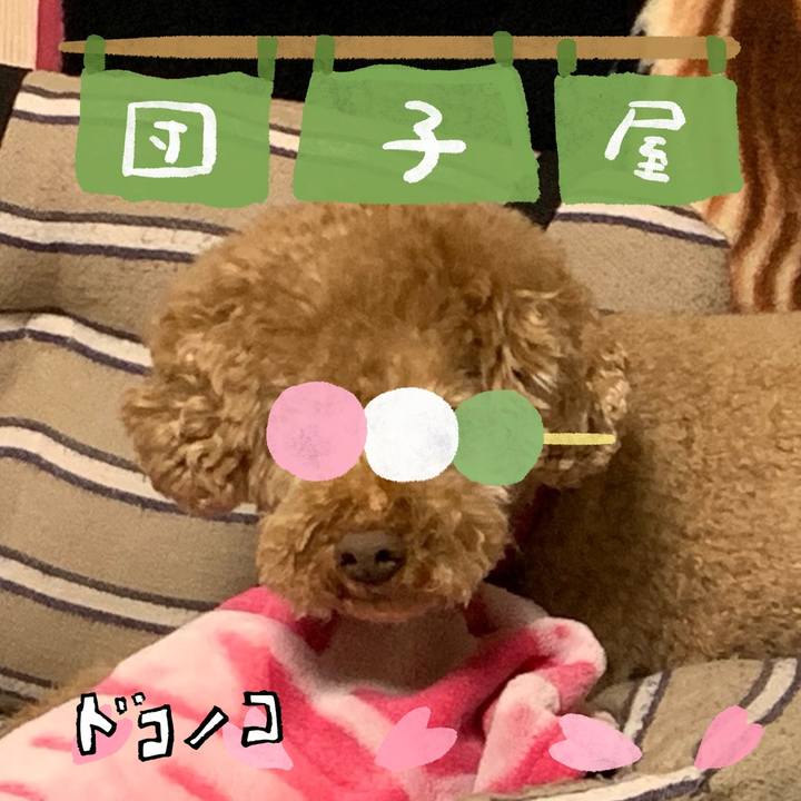 266dc4ac 0bc1 4282 a95c 64157ba2f595 1712206067028