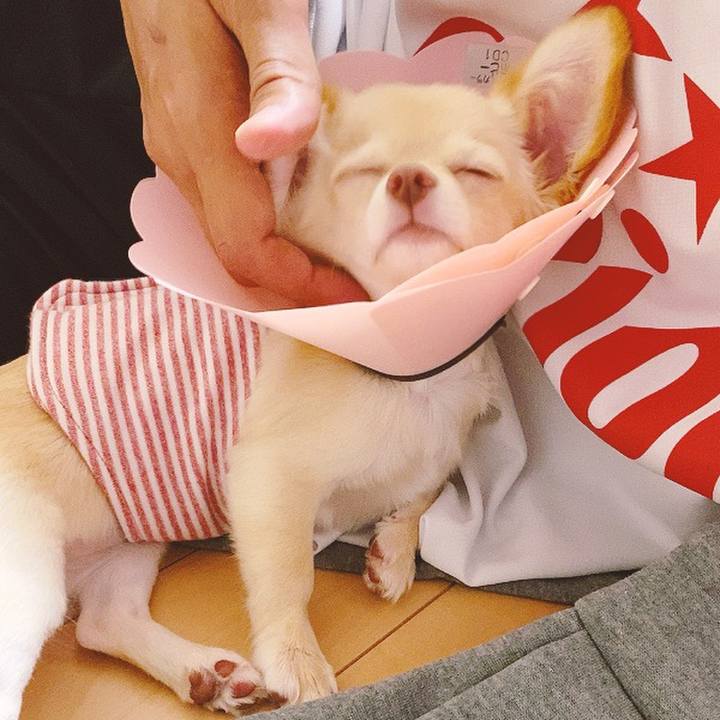 266de757 da6f 4d8a 9b11 d0910992cbcc 1598756814263