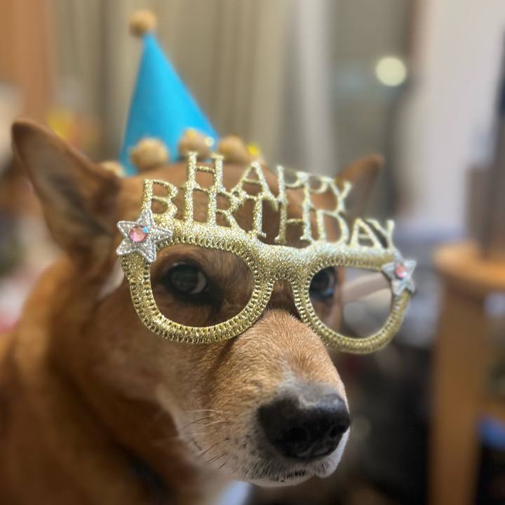 266dffa0 d05f 4814 98f3 b132efdaf469 1736576010644