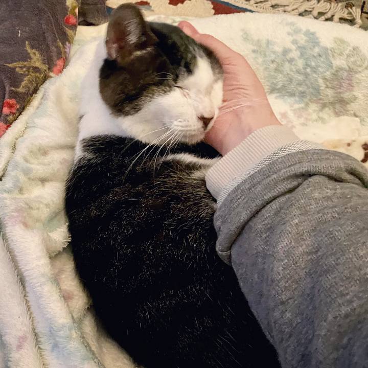 266e0abe 9c96 4609 b28c 10ad1fe65fff 1605274696201