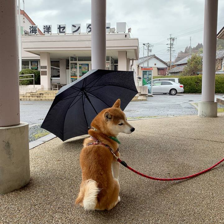 266e0ec6 1ef1 46b7 876f 03a965d529e2 1578386041565