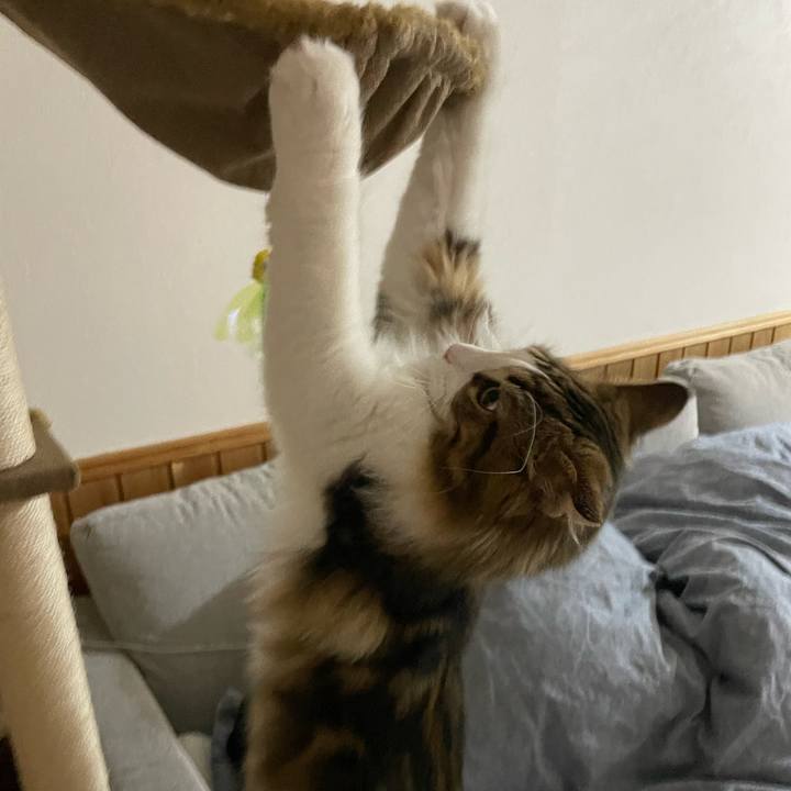 266e1301 574b 4604 b09a fdec83a679e7 1641591122414