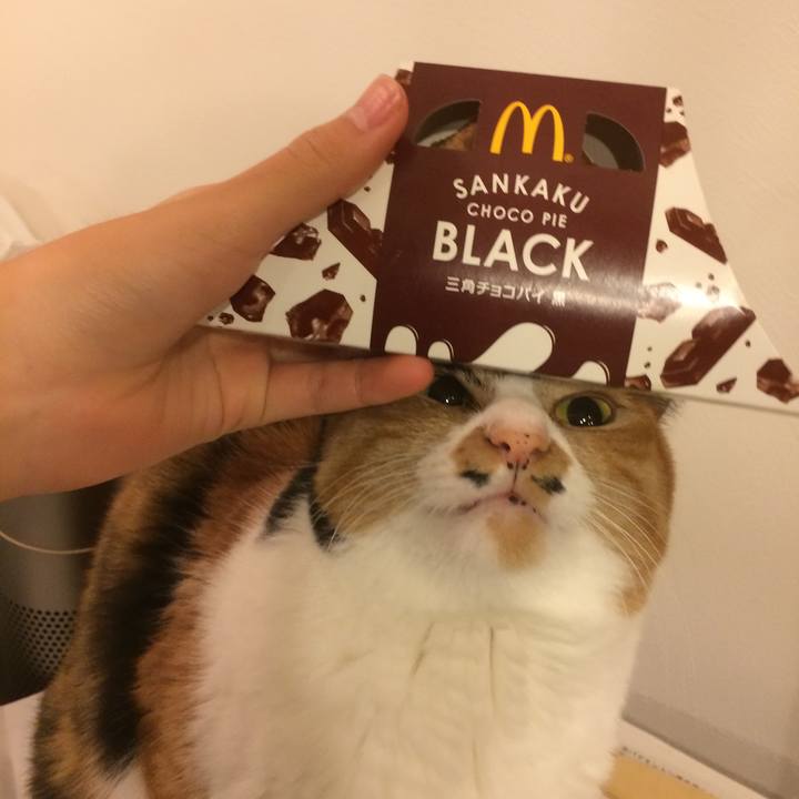 266e845f b289 4a17 a012 14e290fc9d26 1542201539573