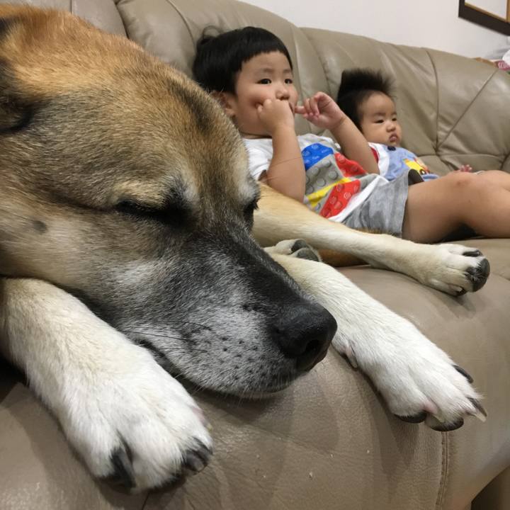 266e86e5 4500 465d b394 089b560e623b 1535197809200