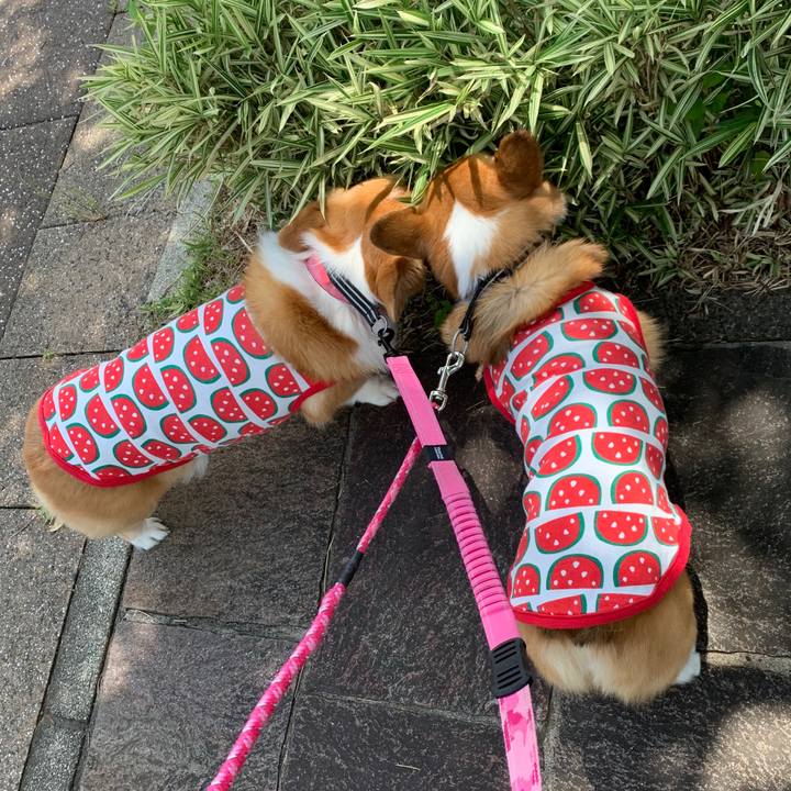 266e945e 1f4d 46c6 87b3 5ef44103c012 1592711118673