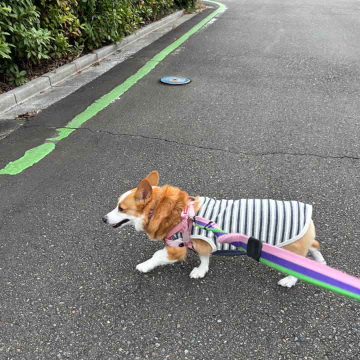 266eaccc cd4e 4a3d b44b a52463b72b88 1762313145374