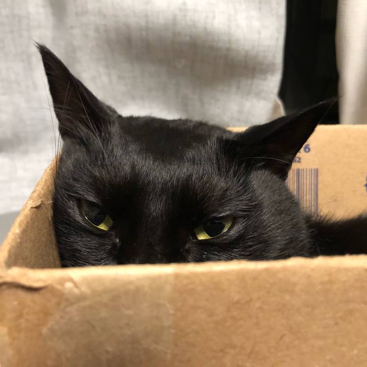 266ed1b8 43dd 4304 80f2 b8254b7f32c2 1604531994624