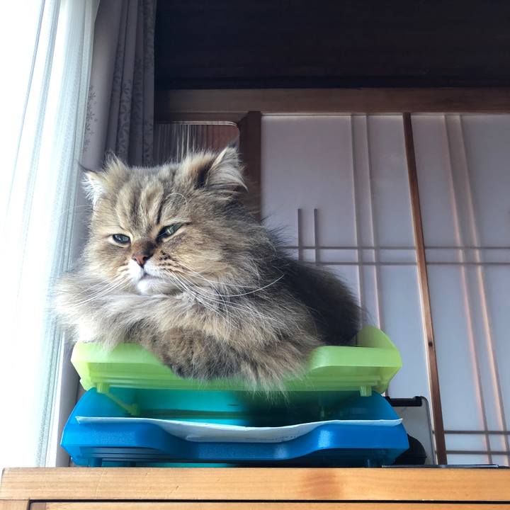 266f1f6a c432 46a4 a8aa ce6f8464542c 1620173938870