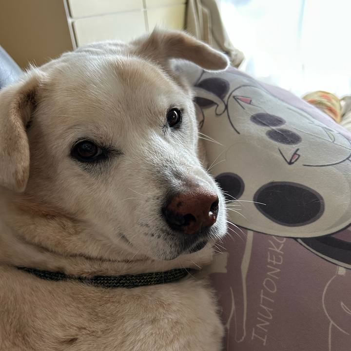 266fd2fb d8b0 45c9 9107 bbb4bc2b9456 1738976885590