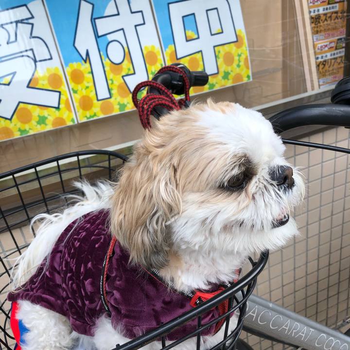 26702136 0f4b 4e49 a901 148cd54547cc 1585259408212