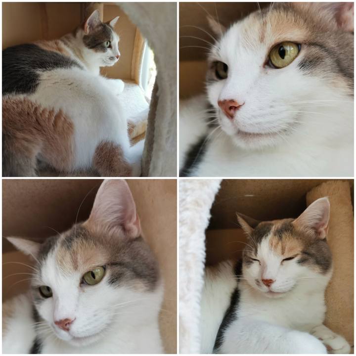 2670273c e434 4c48 8a12 15846c0c69ec 1653628338126