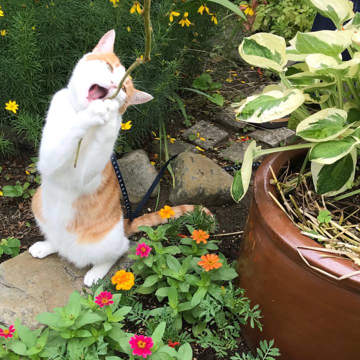 267037f2 c660 4d94 a2de e4b7fcb398cc 1531037623321