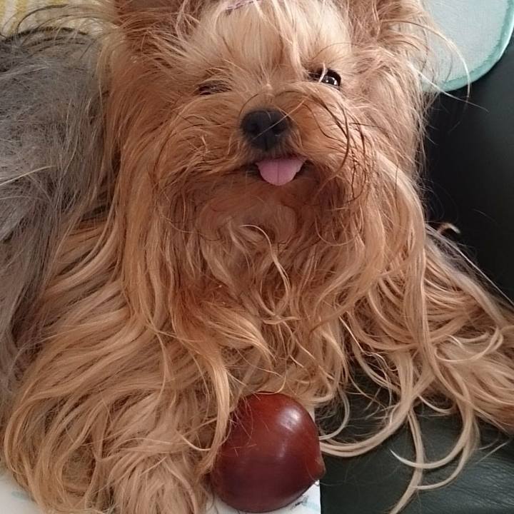 2670450e 3f05 46b5 8dfb 648b817b612d 1731856879334