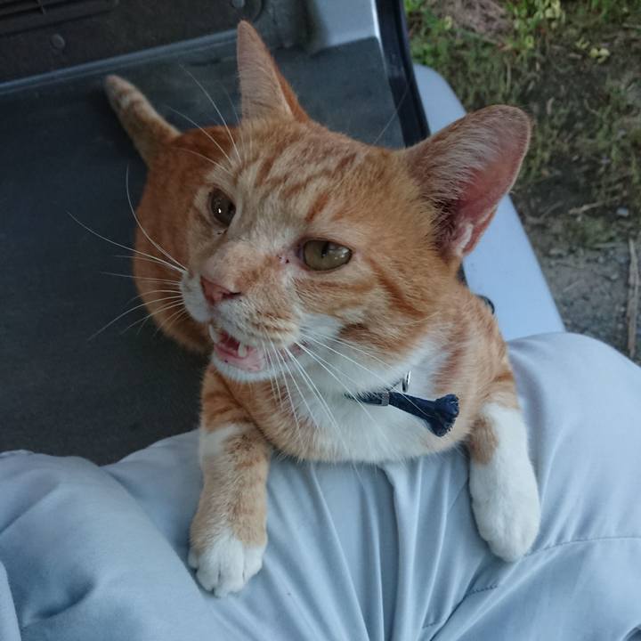 2670ba65 2ff6 49f5 8734 c6e063cfc6d7 1567762590109