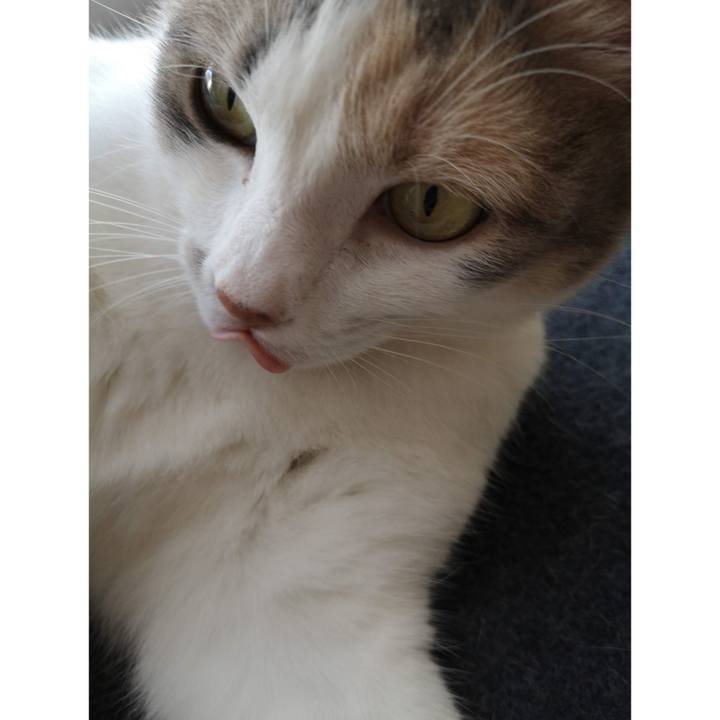 267106c2 306a 4027 bb3c fdbc5d26ea54 1616939286141