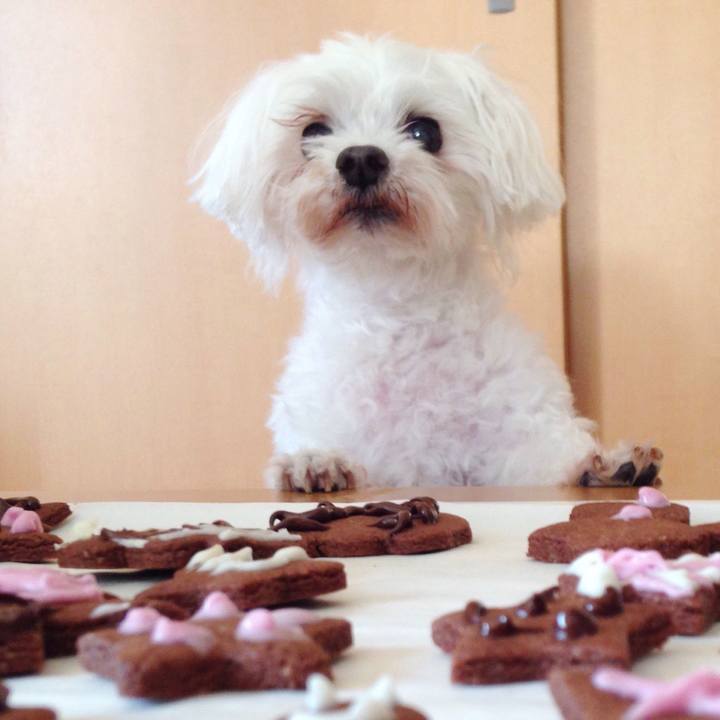 26710872 9a1e 4b23 a314 15c2326cd62e 1550070933289