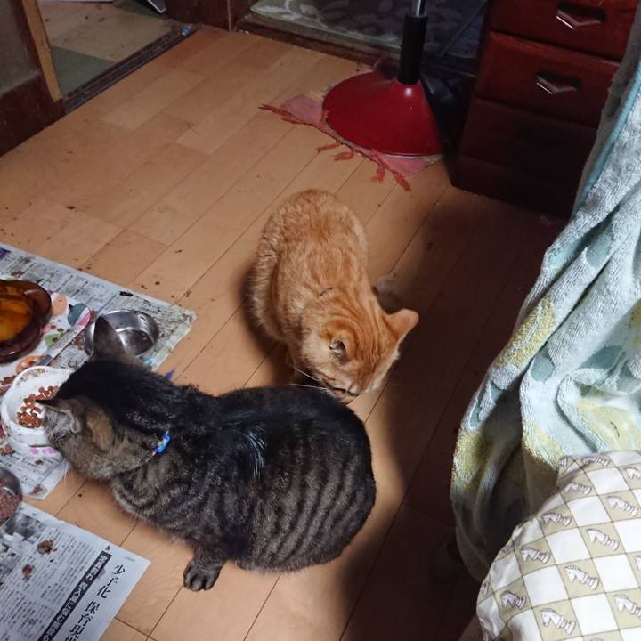 26711817 bdd9 4a1e 9cec 9d0e1d972ef2 1656363584747