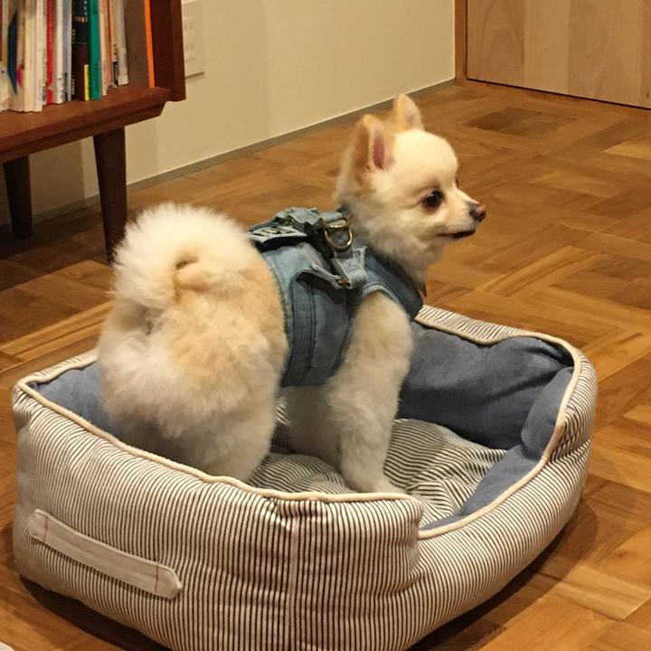 26711dae 8813 4bb7 8917 06005c2b3642 1595853991539