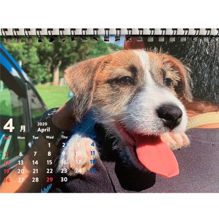 2671261a 0c93 4484 8819 178a75f2912a 1588225841771