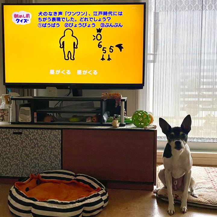 26712b76 2b78 4e36 8b6c 3c112f2e5211 1614722492218