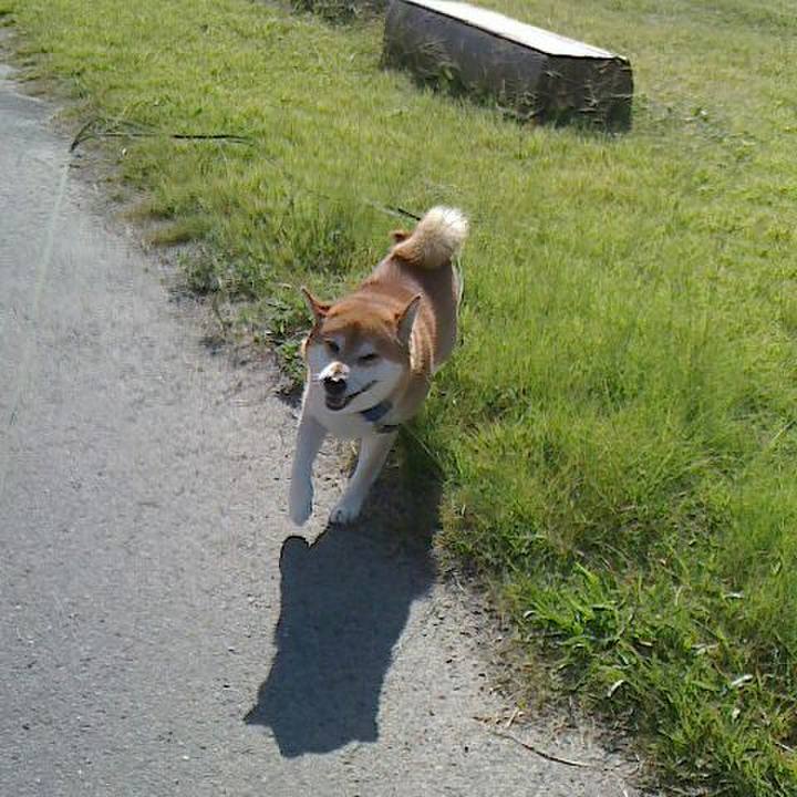 26714637 ea13 4fed 9713 648ac9e2ac69 1570684747017