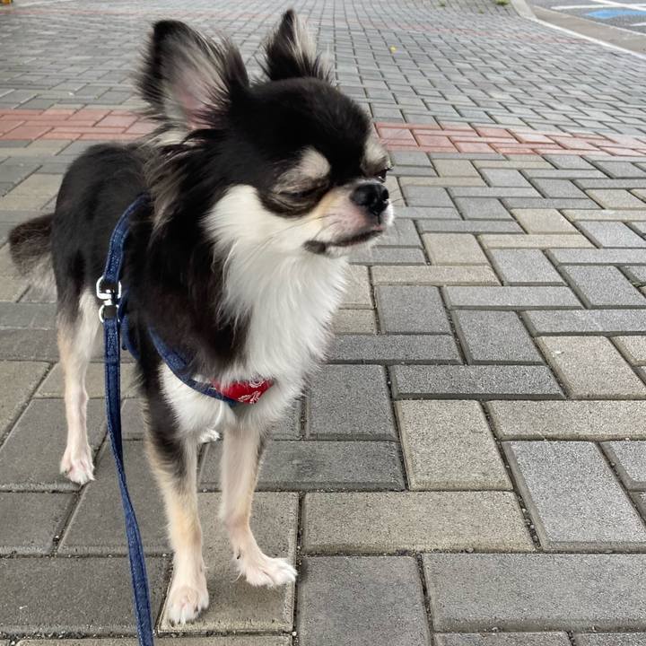 267150d2 de9c 41af 8770 74144f58b2a0 1631712615550