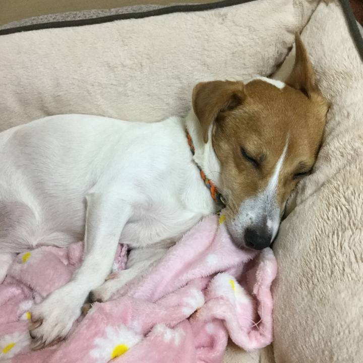 26719455 83f6 423b 981a 63831ecb2fb3 1509277326052