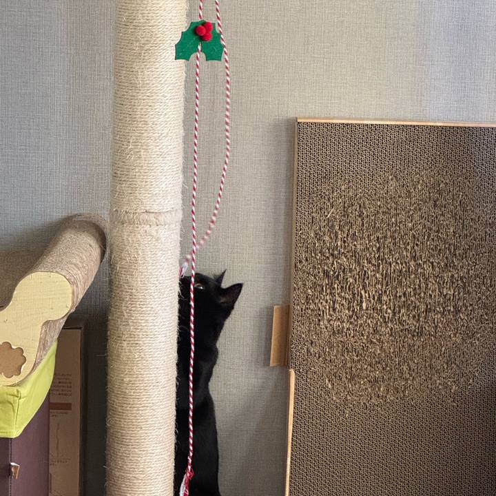 2671d8d5 cd97 4fca bbab 87573b82f21a 1732840805415