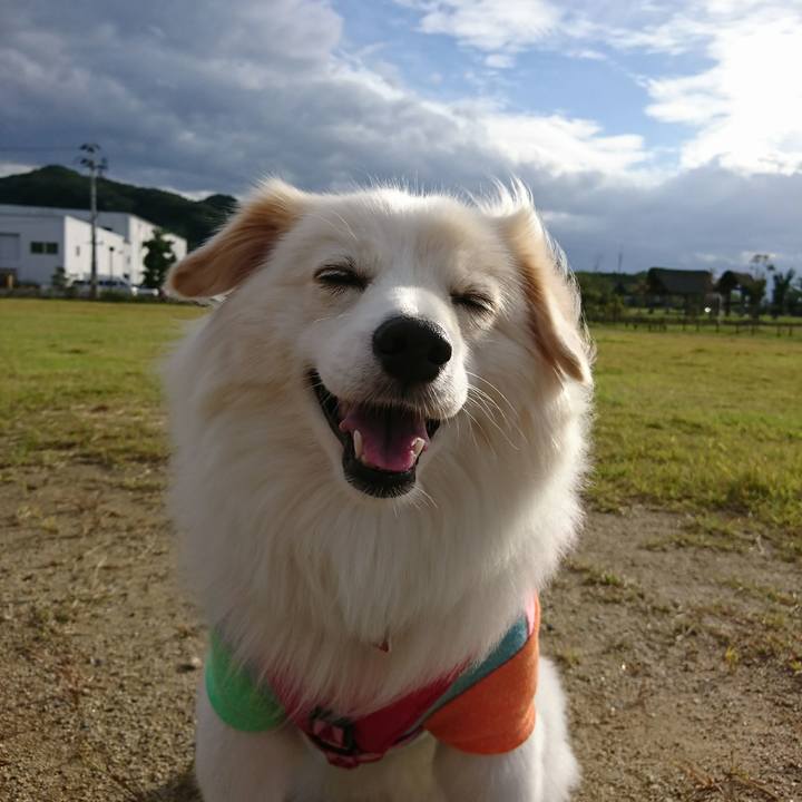 26721654 fd1e 496e b520 e8c2efc596ff 1511871948681