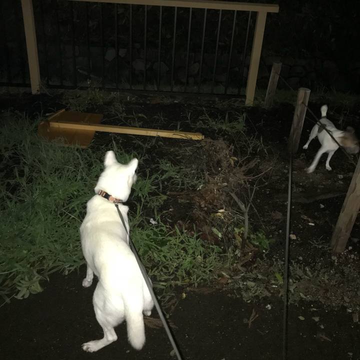 267233c2 7081 48f0 8956 ef5cd5920773 1536059876632