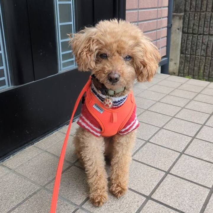 267256f2 a8c9 47e9 98f7 604522944019 1764888417237