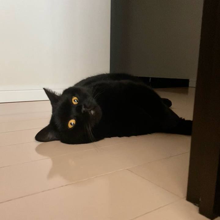 2672668b 857c 4dc5 ad0a de65da891f97 1714795698213