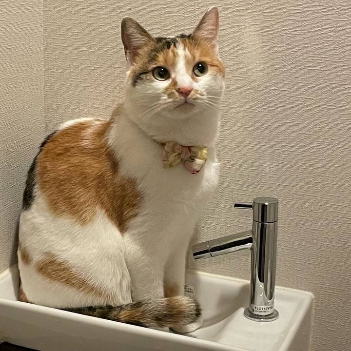 2672f82f fa9e 4efb 8dc2 b0ea9696db51 1639006634371