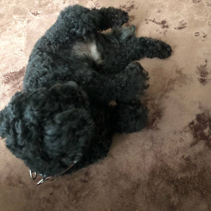 267321bf 45a4 44ab 97bd b489e246acbe 1561983594237