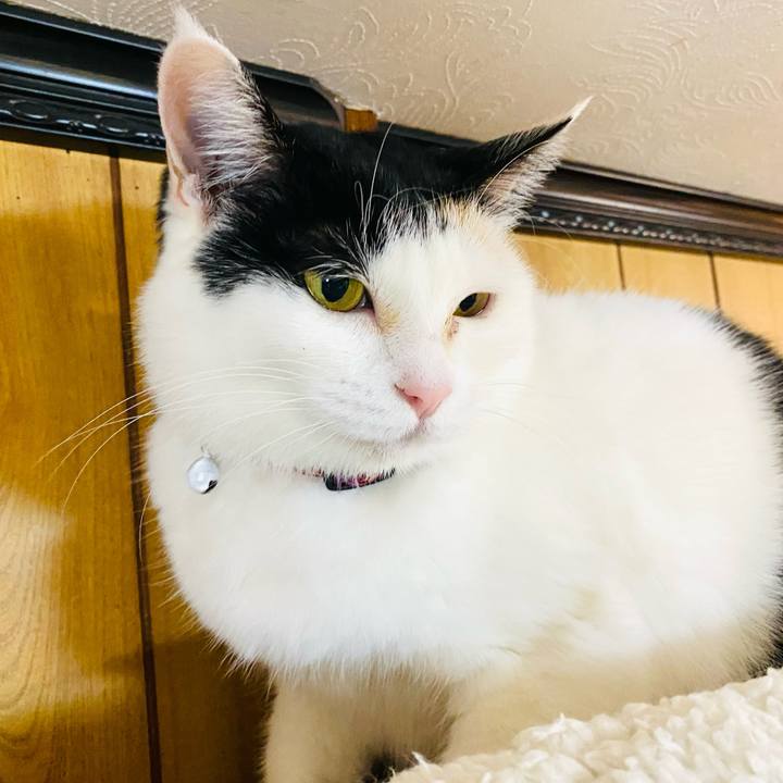 26732eff b0b1 4430 b56f 8a5395645823 1679662782538