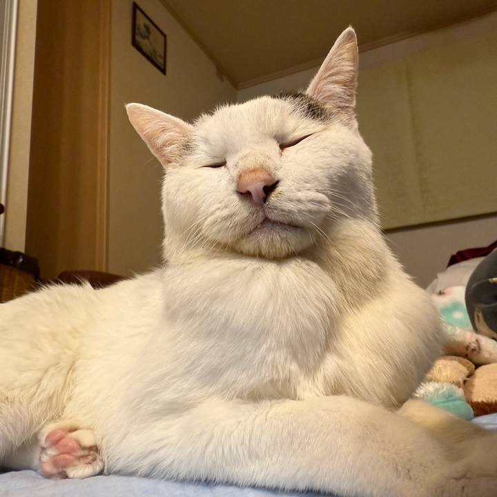 26733ca8 b2ff 427f 9103 d2c89b135b4a 1761827547674