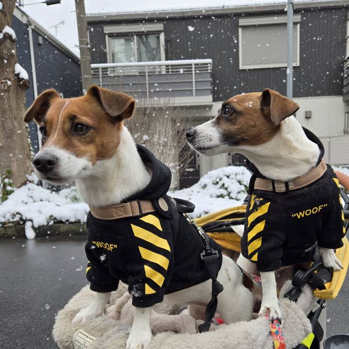 2673587a 7b92 4698 92c9 e9af4280cb0f 1770533334296