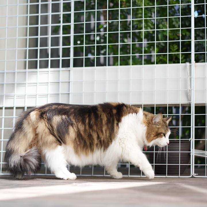 26735b12 36c1 4f7d 9d38 20f4a3df6837 1740549698796