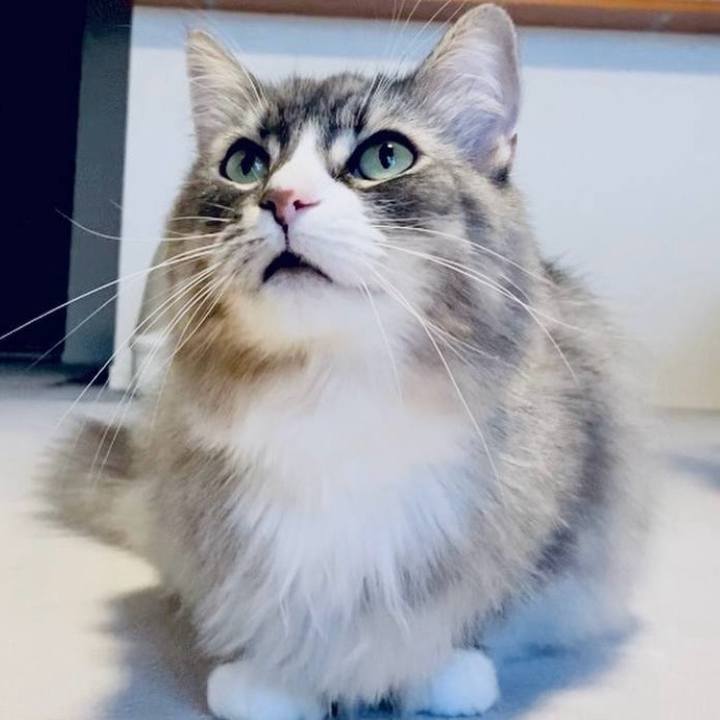 2673624e f25d 4e08 a32a 5abe98bf25f3 1754759477908