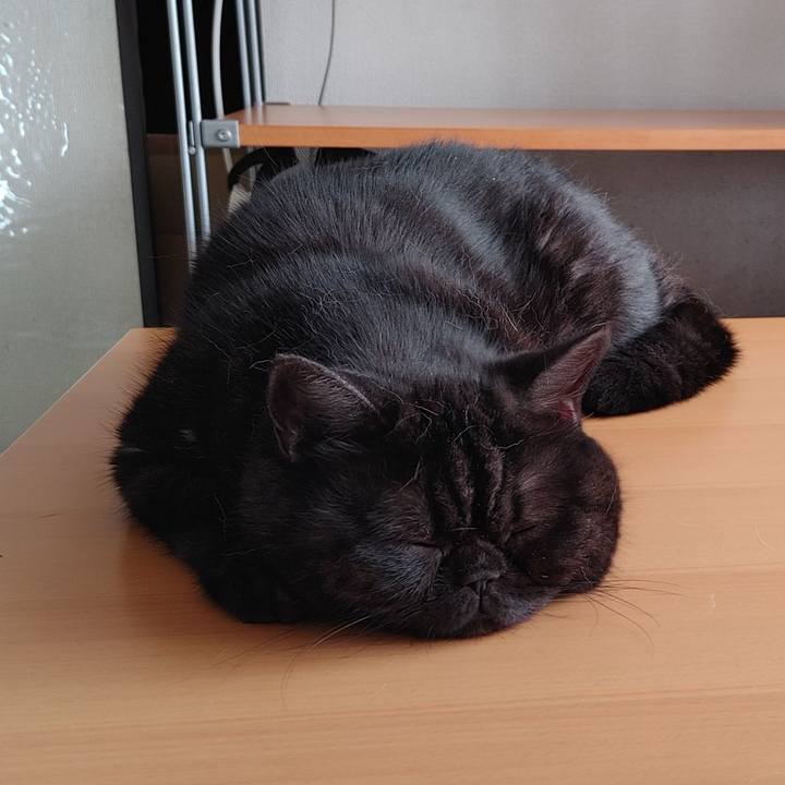 26736398 6871 46a8 be38 821d77ba358b 1636865041228