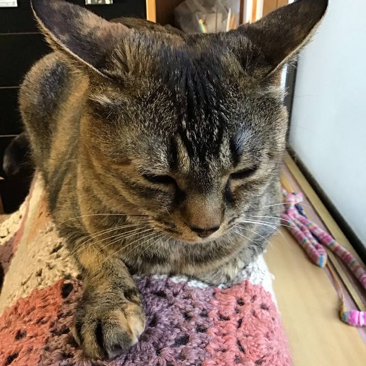 26738f60 82f8 44f9 a954 0e7c7387a730 1714727057671