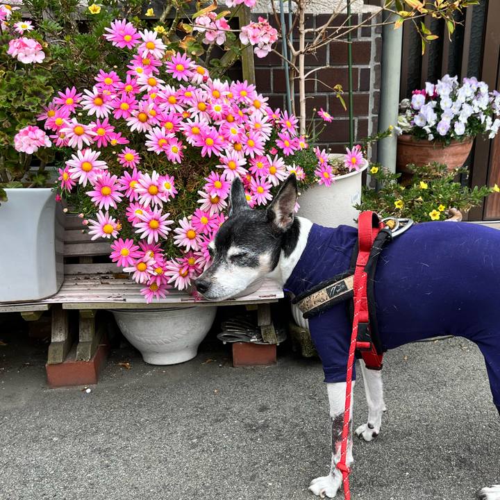 2673b00b 45e7 4b4e aed5 eba19cafe682 1647168805707