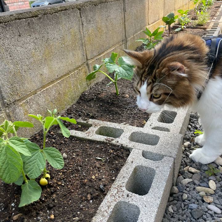 2673f8d2 1b62 448d 92b9 7bab94512929 1653118842786