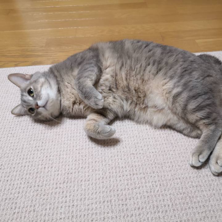 2673fc91 cf9b 43ab b851 4f8082480442 1579925229675