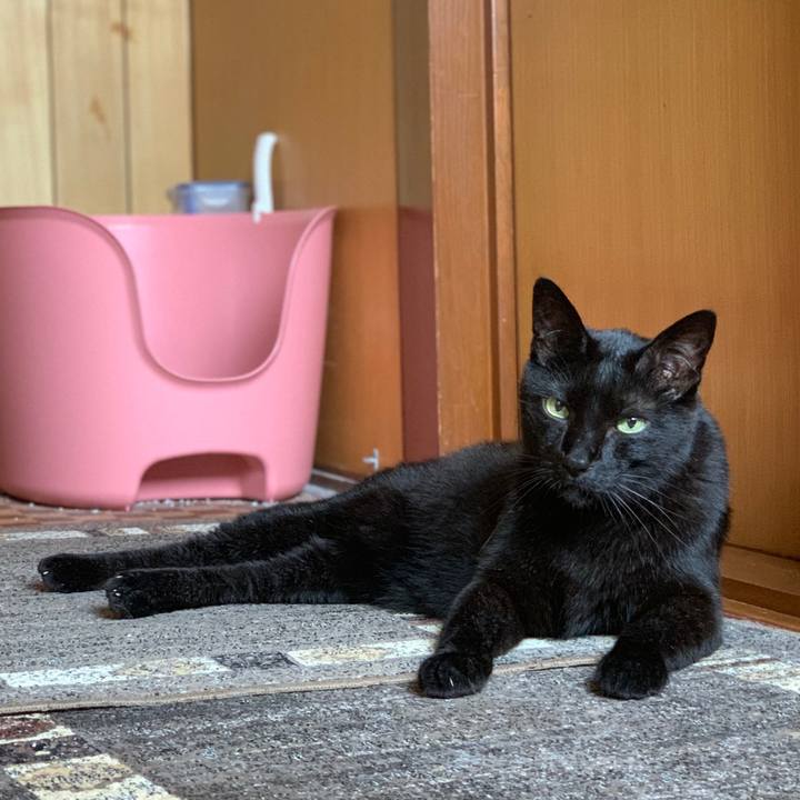 26740f91 90d5 47c0 af1a d5486d3f1324 1563928641354