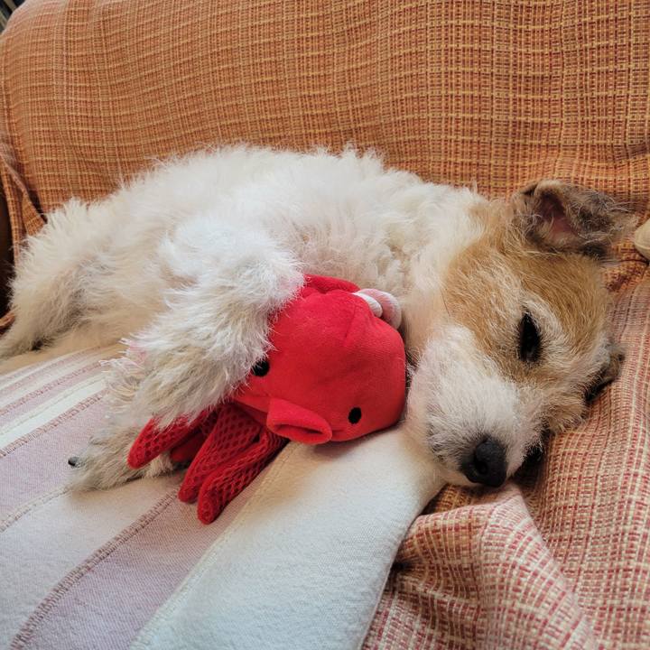 26743d8f 82bb 4ed3 9838 4feebc5ccf96 1754006371371