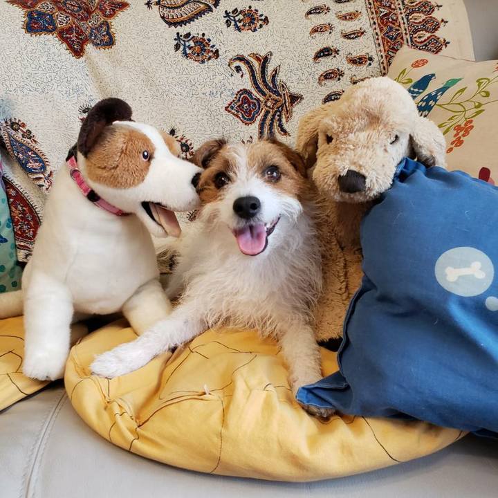 26746039 446d 4962 aced 0af04163ce04 1592997142886