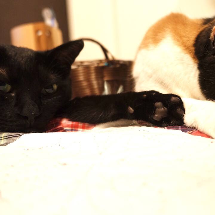 26747bac 3ce9 4339 9770 535d323ebb9e 1520520338059